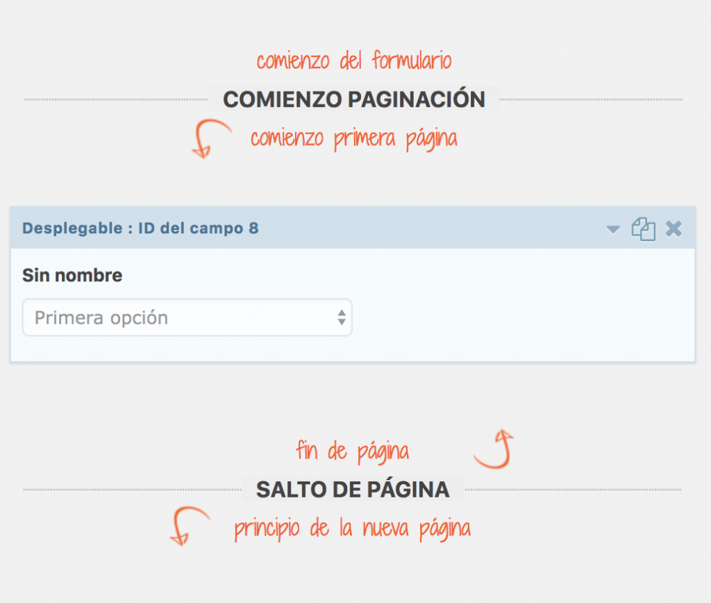 Campo de formulario introducido en la paginación de Gravity Forms