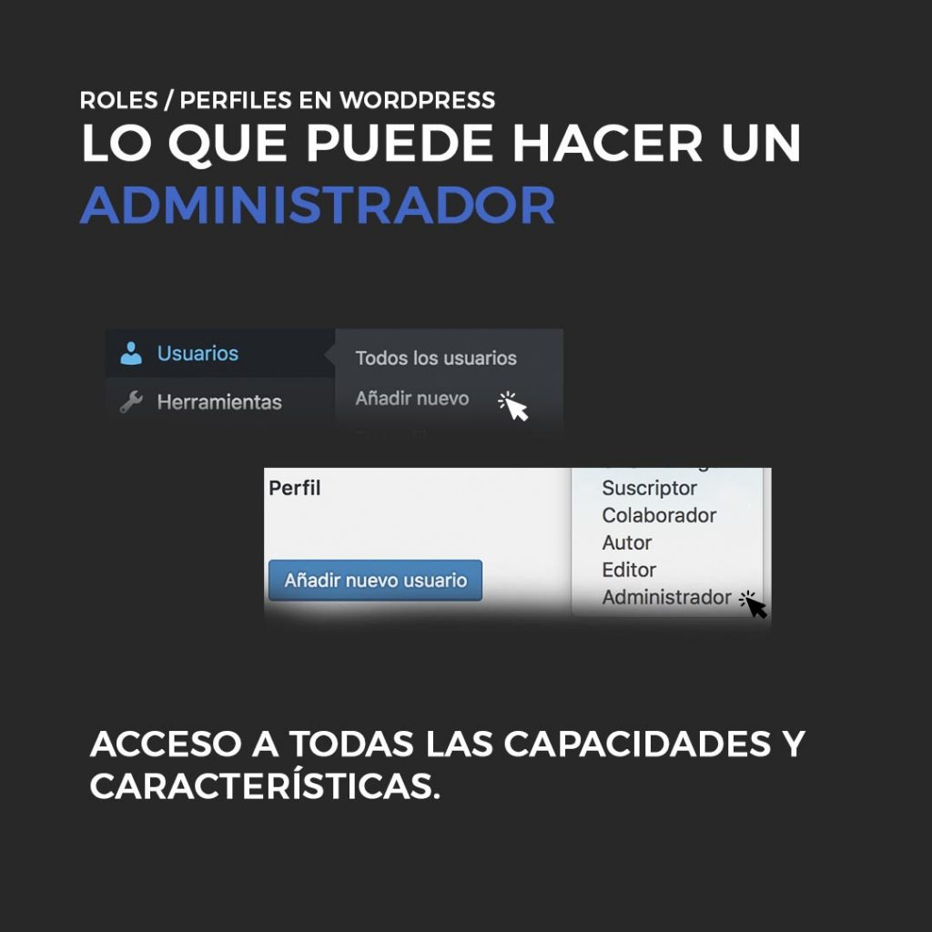 Capacidades del perfil de administrador en WordPress