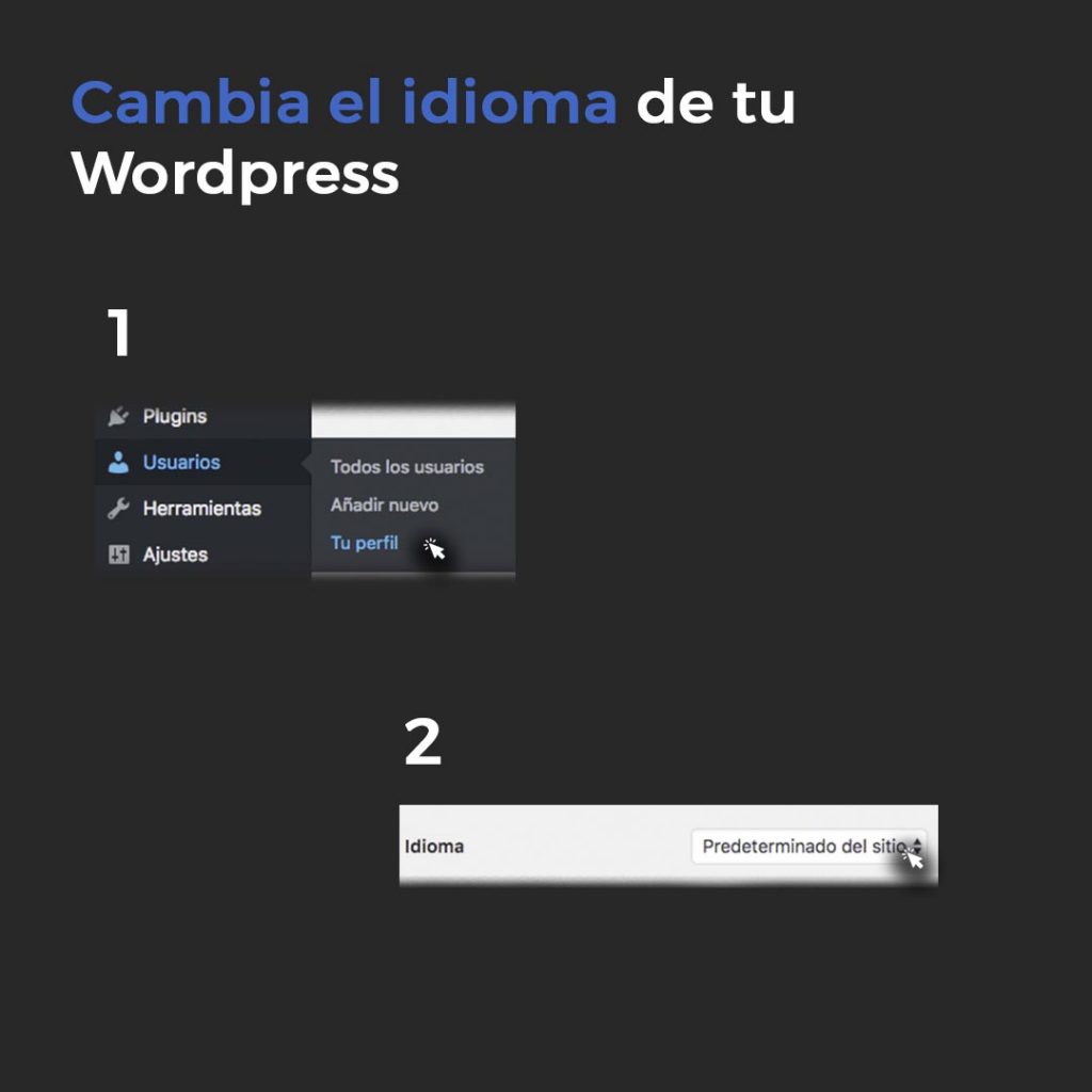 Cambiar el idioma en WordPress